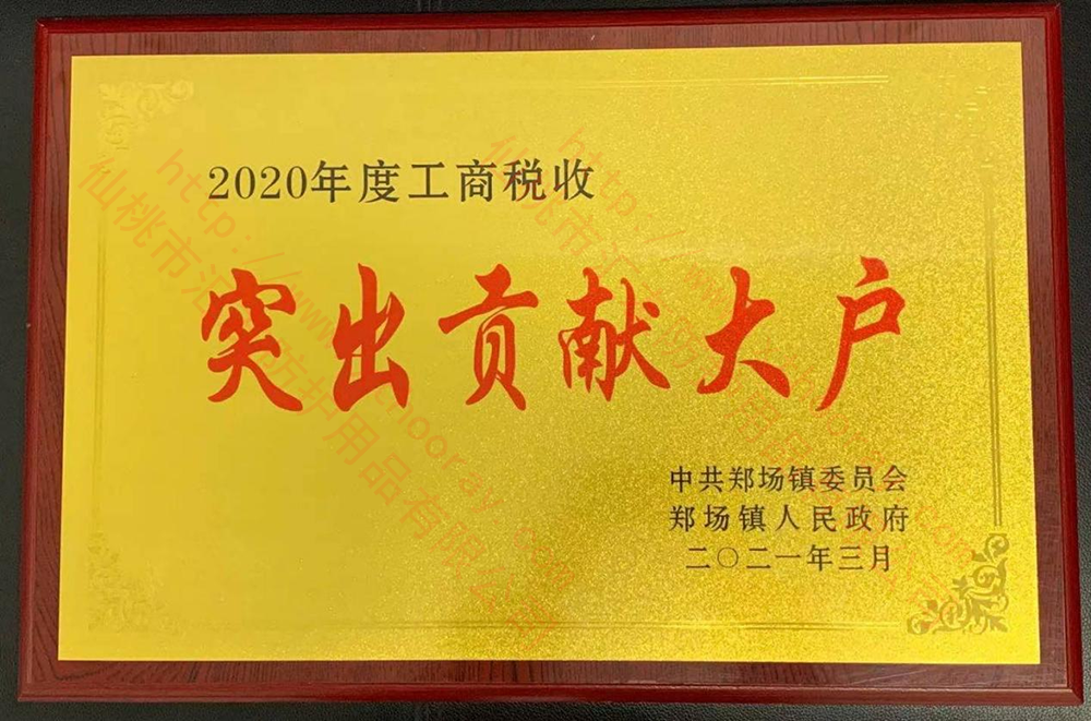 Outstanding Contributions